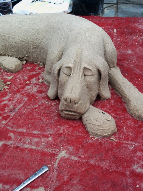 Sand-dog asleep