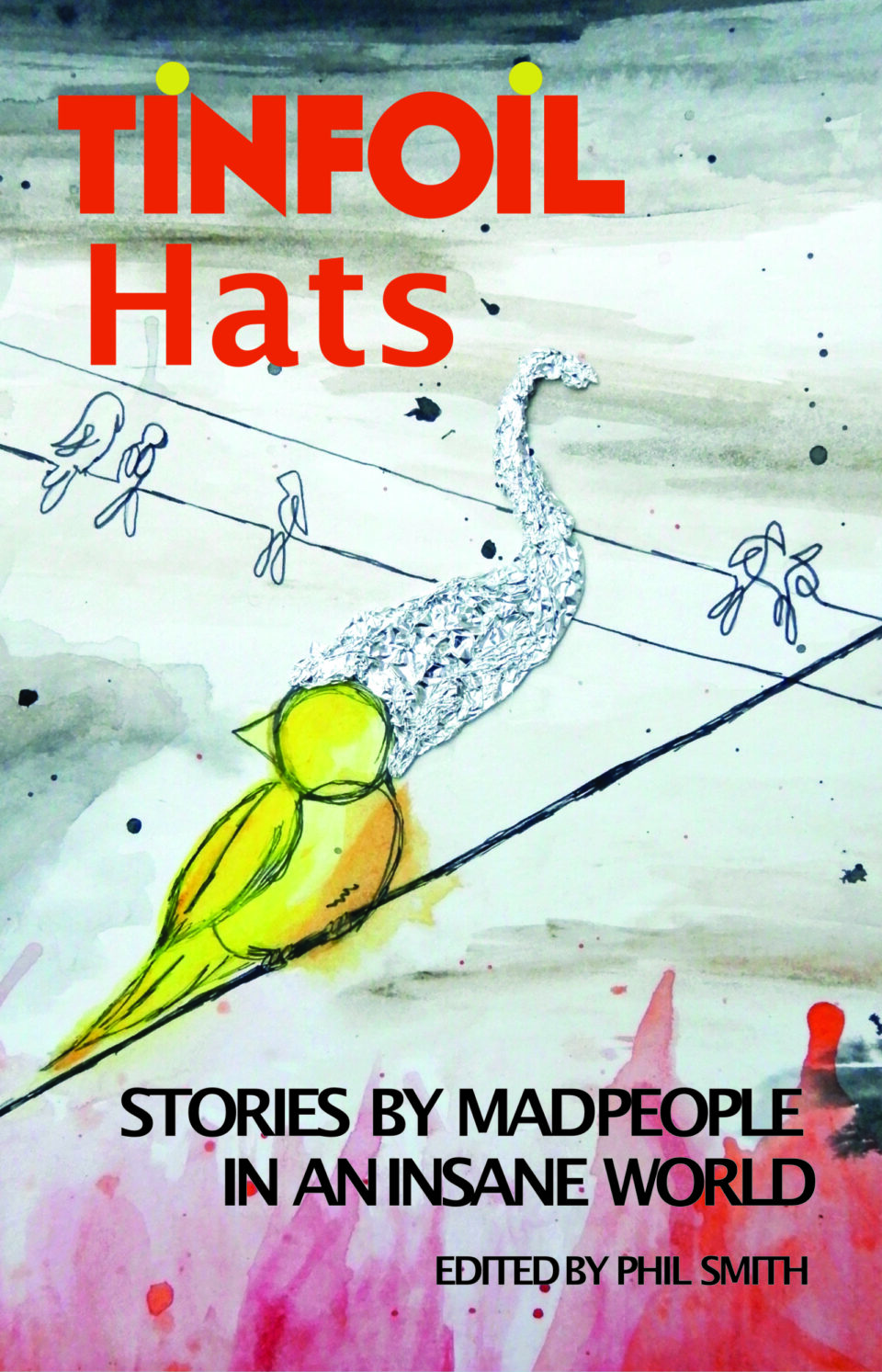 Tinfoil hats cover image: an illustration of a   yellow painted bird sits on a line representing a branch with a tinfoil bird shaped shadow behind it.