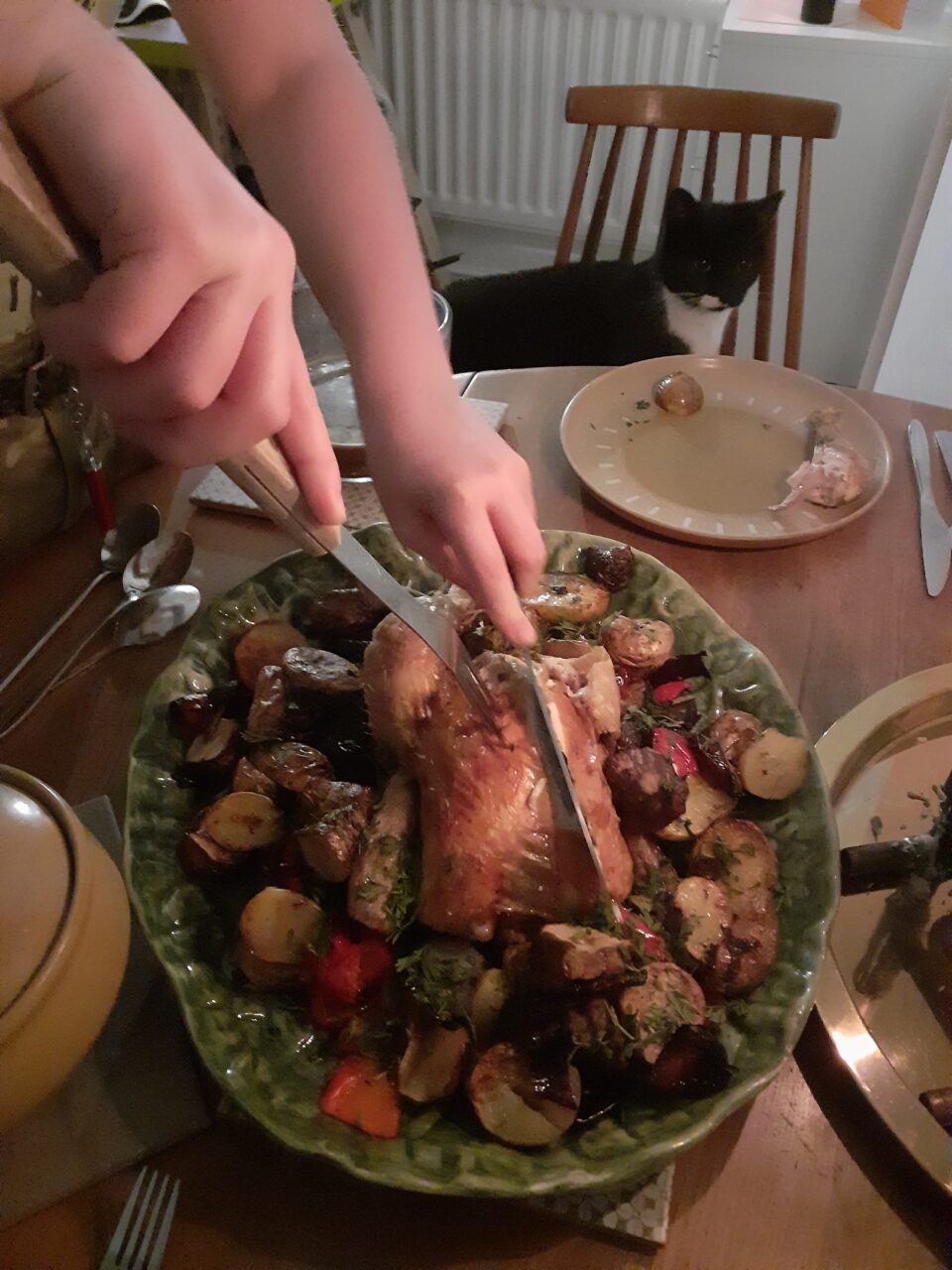 A roast chicken on a green plate surrounded by vegetables is carved. A black and white cat looks on hungrily in the background.