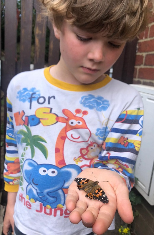 M holding a painted lady butterfly