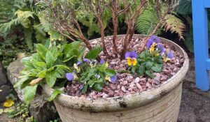 Spring excitement, warmth and old friends