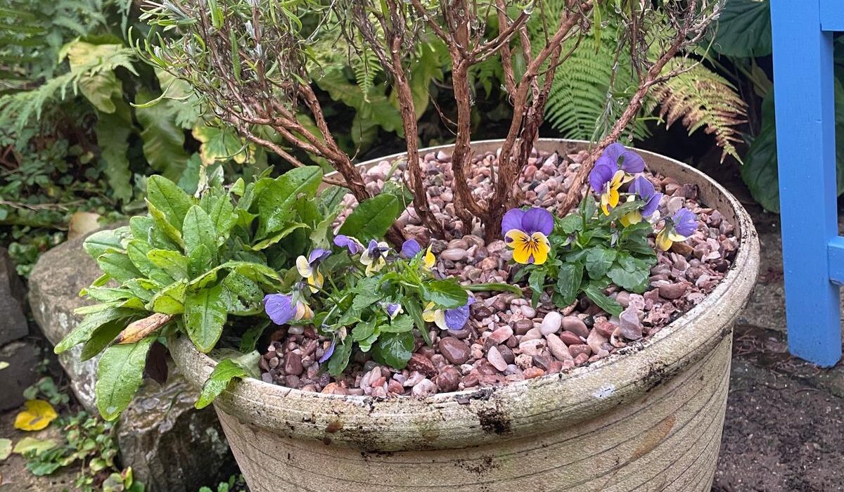 Spring excitement, warmth and old friends