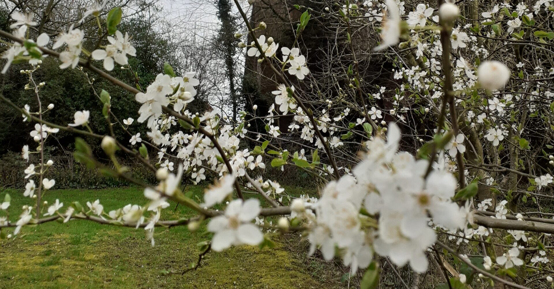 Allotment Autoethnographic Reflections