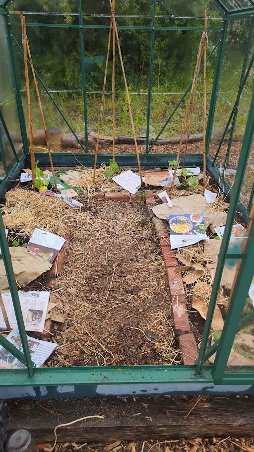 Inside a small glass greenhouse, young plants grow from beds mulched with cardboard, paper, straw and other organic material. Bamboo canes form supports above the beds, with a narrow soil path running down the centre.