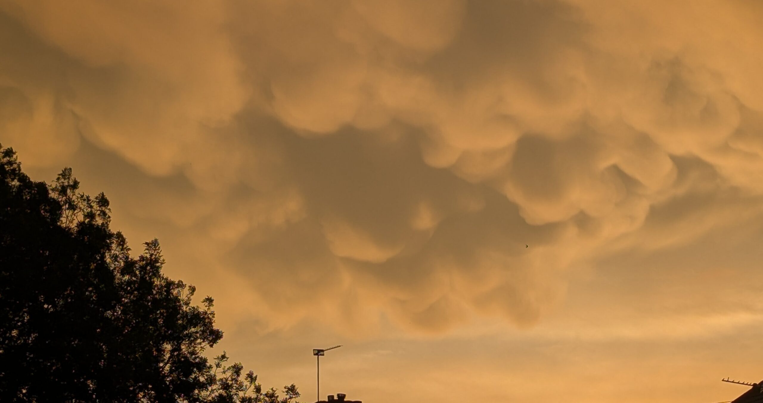 Dramatic rounded storm clouds glow orange and gold across the sky, with dark silhouettes of trees and rooftops along the bottom edge of the image.